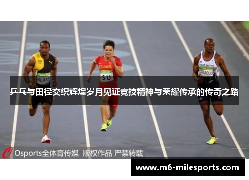 乒乓与田径交织辉煌岁月见证竞技精神与荣耀传承的传奇之路