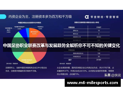 中国足协职业联赛改革与发展趋势全解析你不可不知的关键变化